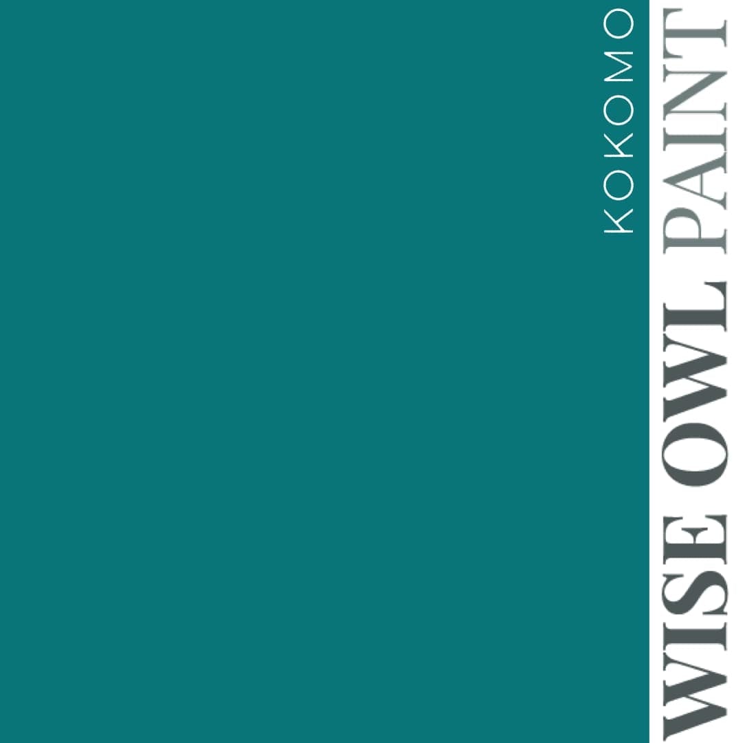 One Hour Enamel - Accent Pint - Kokomo