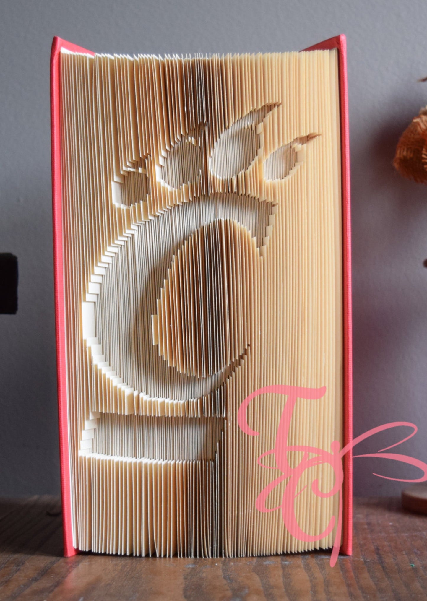 UC Bearcat Folded Book
