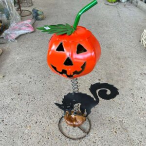 Pumpkin on Spring - small