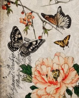 Butterfly Floral