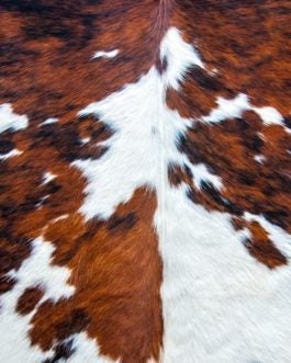 Cowhide