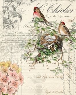 Bird Ephemera