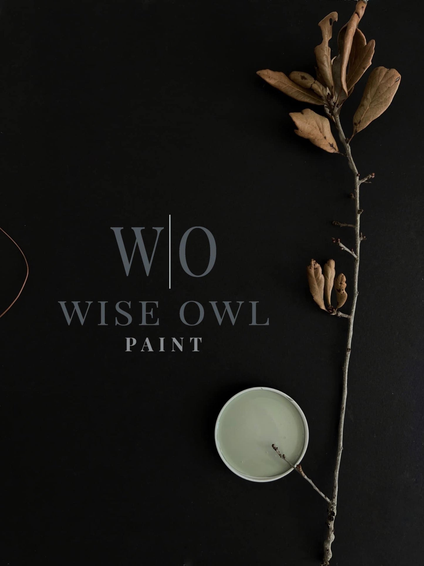 *NEW* Wise Owl One Hour Enamel - Celtic Fog
