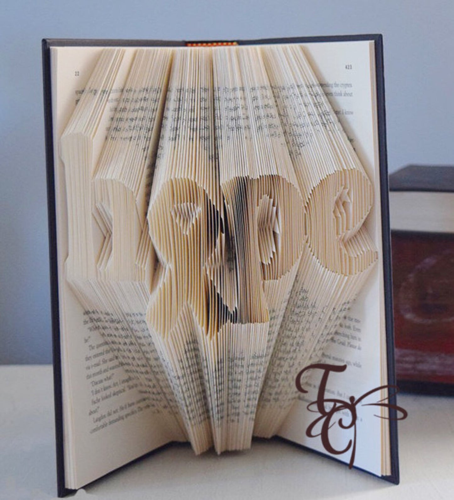 Hope with Ribbon Folded Book