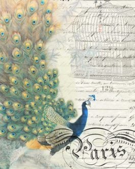 Peacock Ephemera Left